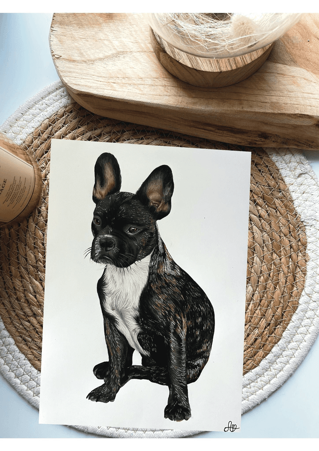 Portrait Traditionnel ou Digital d&#039;Animaux 